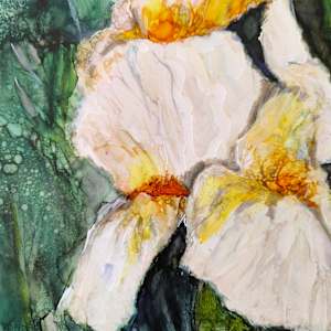 Iris Dancing in Green by Janet Dixon 