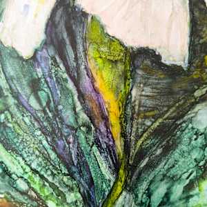 Iris Dancing in Green by Janet Dixon 