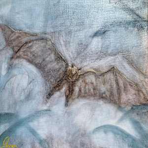 Wingbeats ( all four together) by Janet Dixon 