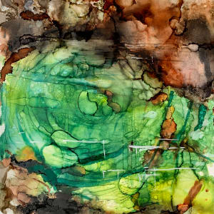 The Green Vortex by Janet Dixon 