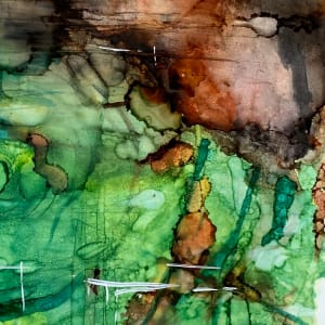 The Green Vortex by Janet Dixon 