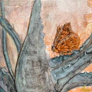 Wingbeats ( all four together) by Janet Dixon 