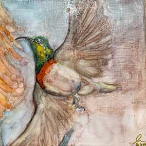 Wingbeats ( all four together) by Janet Dixon 