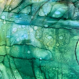The Green Vortex by Janet Dixon 
