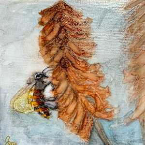 Wingbeats ( all four together) by Janet Dixon 