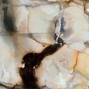 Water on Rock by Janet Dixon 