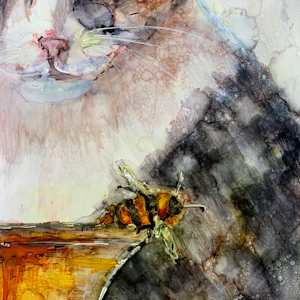 The Watcher by Janet Dixon