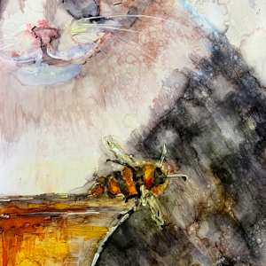 The Watcher by Janet Dixon 