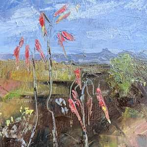 Karoo Belles by Janet Dixon, Image 1.