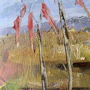 Karoo Belles by Janet Dixon 