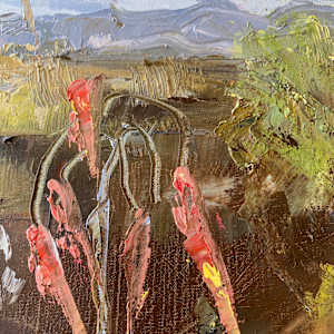 Karoo Belles by Janet Dixon 