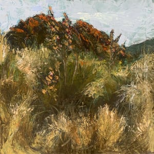 Rooikoppe & Klapperbos by Janet Dixon