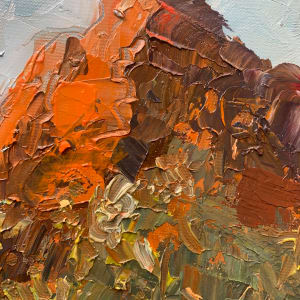Red Hills In Bloom by Janet Dixon 