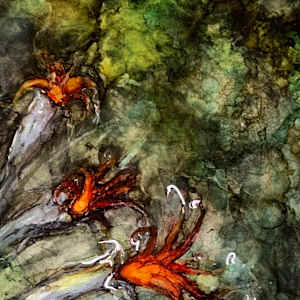 The Karoo has Rubies too. by Janet Dixon 