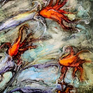 The Karoo has Rubies too. by Janet Dixon 