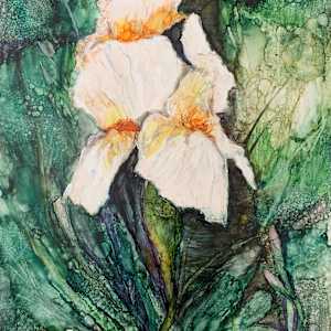 Iris Dancing in Green by Janet Dixon