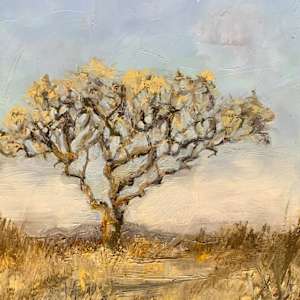 The Shelter by Janet Dixon, Image 5.