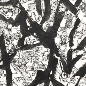 Black Rain by Pat Borow 