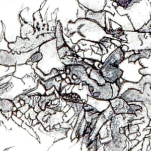 Shredded by Pat Borow  Image: Detail, Shredded