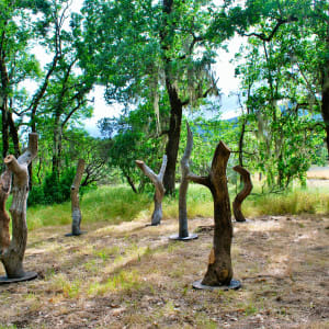 CIRCLE OF ELDERS