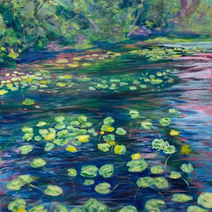 Pike Lake Lily Pads