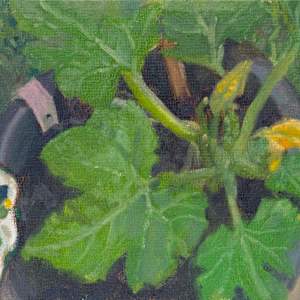 Courgette by Carolin Winkler, Image 3.