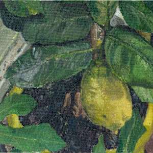 Lemon And Fig by Carolin Winkler, Image 4.