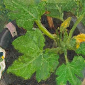 Courgette by Carolin Winkler
