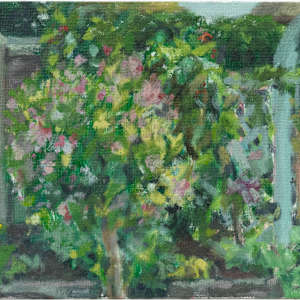 Weigela in Bloom at 128 by Carolin Winkler