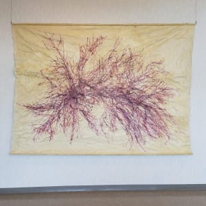 Great Salt Cove Macroalgae #3 by May Babcock 