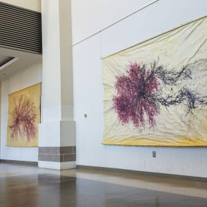 Great Salt Cove Macroalgae #2 by May Babcock 