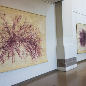 Great Salt Cove Macroalgae #3 by May Babcock 