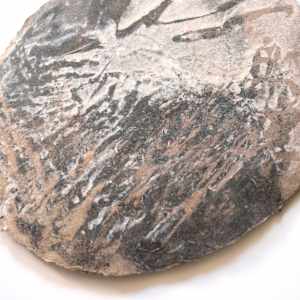 the seam by May Babcock 