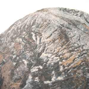 fragmented by May Babcock 