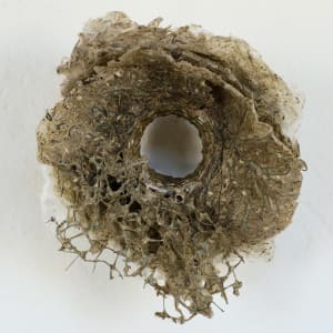 Rome Point Seaweed Constructions #1 by May Babcock