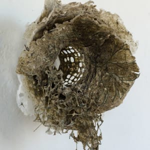 Rome Point Seaweed Constructions #1 by May Babcock 