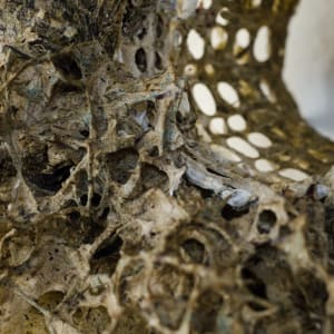 Rome Point Seaweed Constructions #1 by May Babcock 