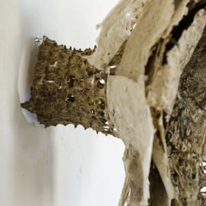 Rome Point Seaweed Constructions #1 by May Babcock 