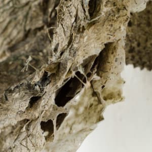 Rome Point Seaweed Constructions #3 by May Babcock 