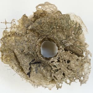 Rome Point Seaweed Constructions #6 by May Babcock