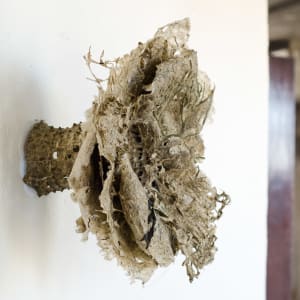 Rome Point Seaweed Constructions #6 by May Babcock 