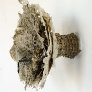 Rome Point Seaweed Constructions #6 by May Babcock 