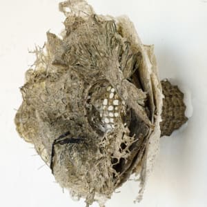 Rome Point Seaweed Constructions #6 by May Babcock 