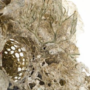 Rome Point Seaweed Constructions #6 by May Babcock 