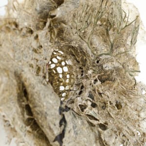 Rome Point Seaweed Constructions #6 by May Babcock 