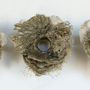 Rome Point Seaweed Constructions #1 by May Babcock 