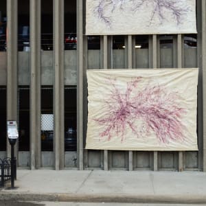 Great Salt Cove Macroalgae #3 by May Babcock 