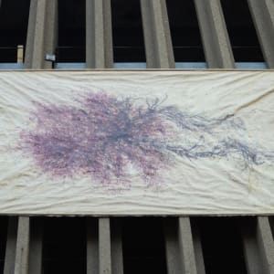 Great Salt Cove Macroalgae #2 by May Babcock 