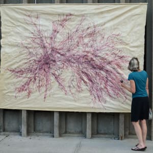 Great Salt Cove Macroalgae #3 by May Babcock 