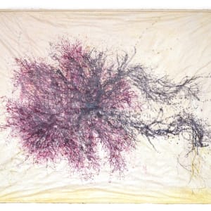 Great Salt Cove Macroalgae #2 by May Babcock 